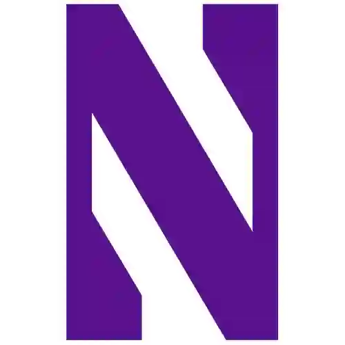 at Northwestern Wildcats